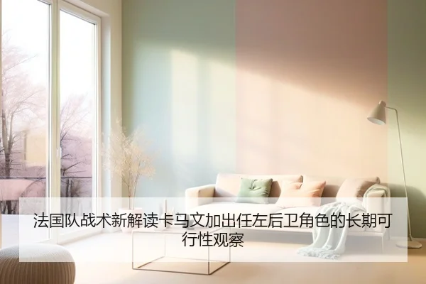 法国队战术新解读卡马文加出任左后卫角色的长期可行性观察